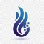 ExpertFlow Logo